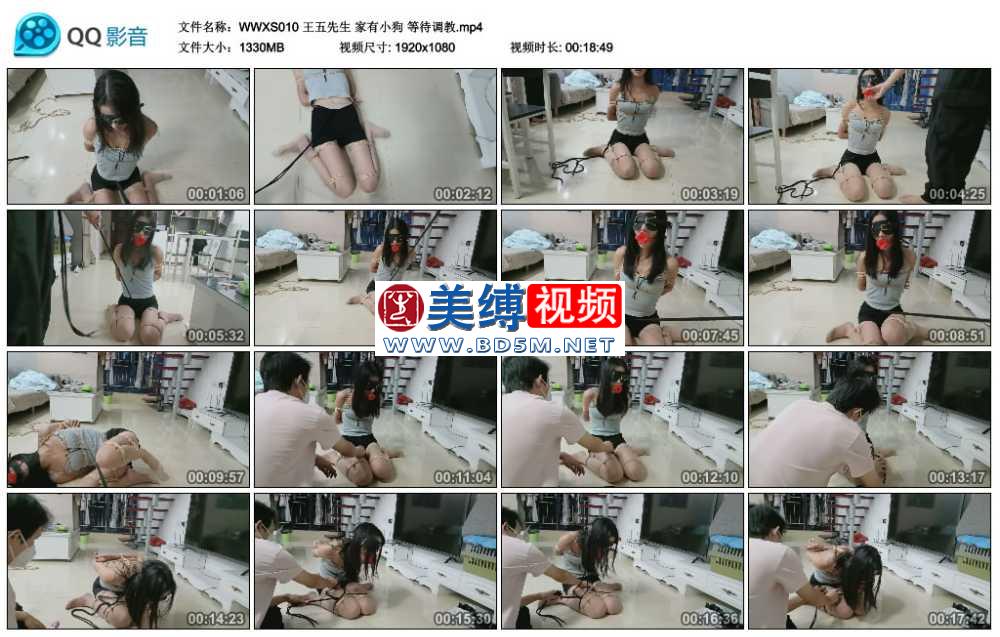 王五先生 家有小狗 等待调教