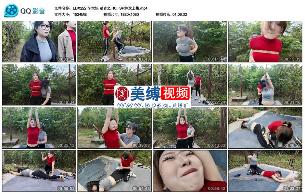 李大侠 踏青之TK、SP游戏上集