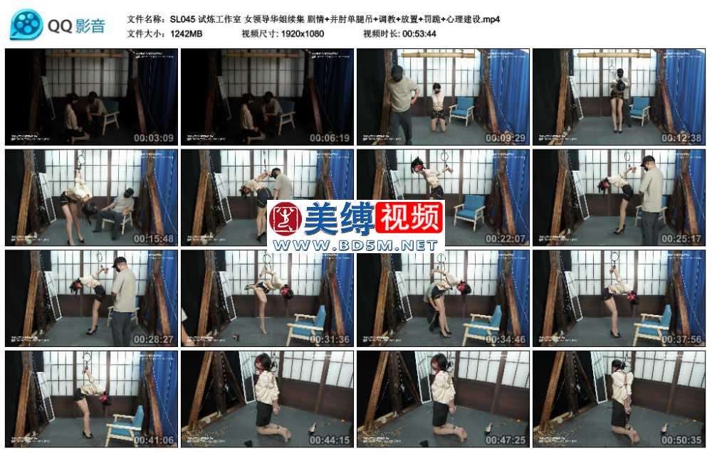 试炼工作室 女领导华姐续集 剧情+并肘单腿吊+调教+放置+罚跪+心理建设