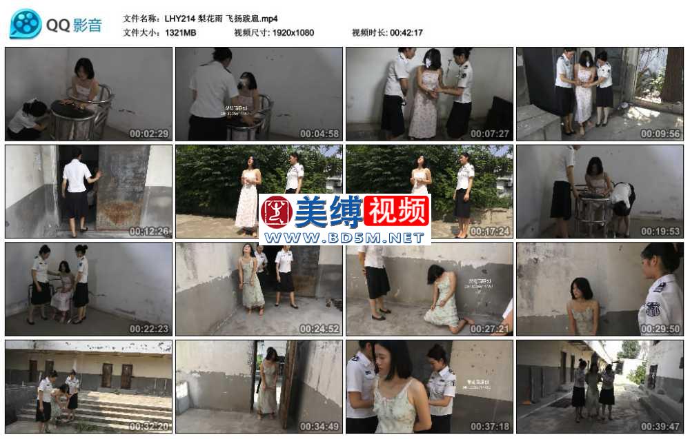 梨花雨 飞扬跋扈