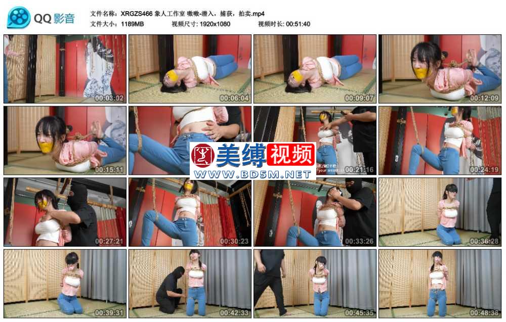 象人工作室 嗷嗷-潜入，捕获，拍卖