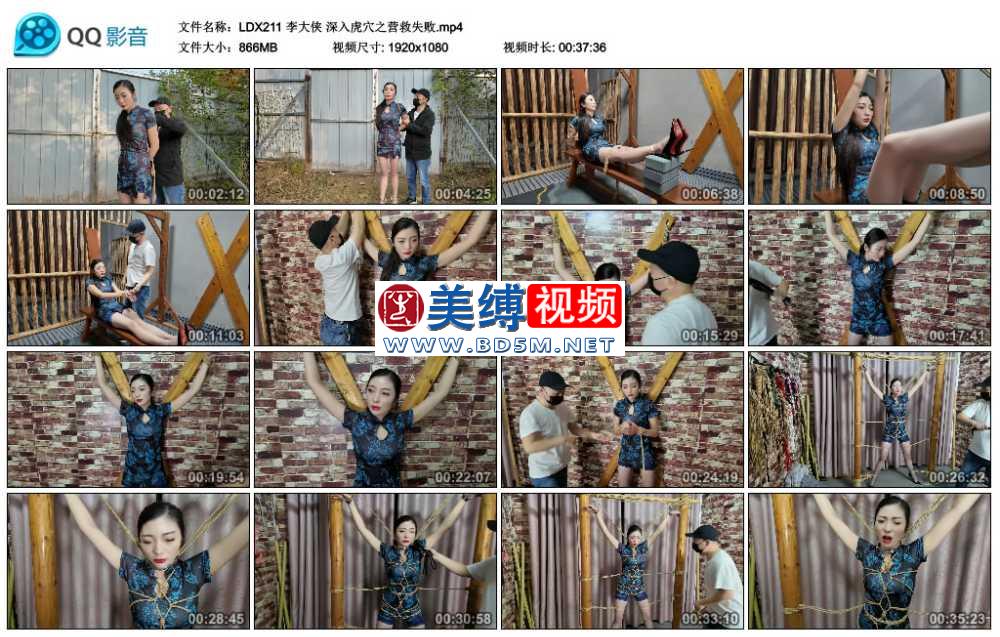 李大侠 深入虎穴之营救失败