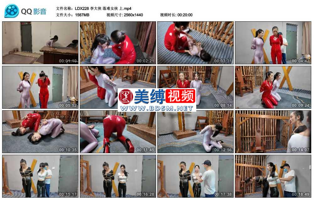 李大侠 落难女侠 上