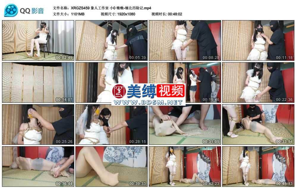 象人工作室 小0 嗷嗷-缅北历险记