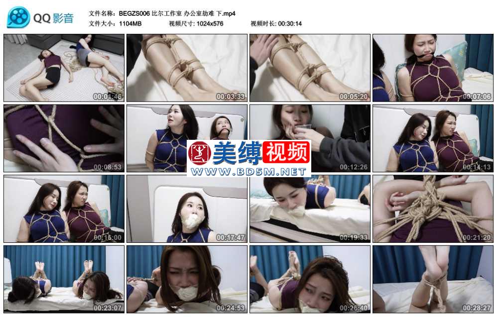 比尔工作室 办公室劫难 下