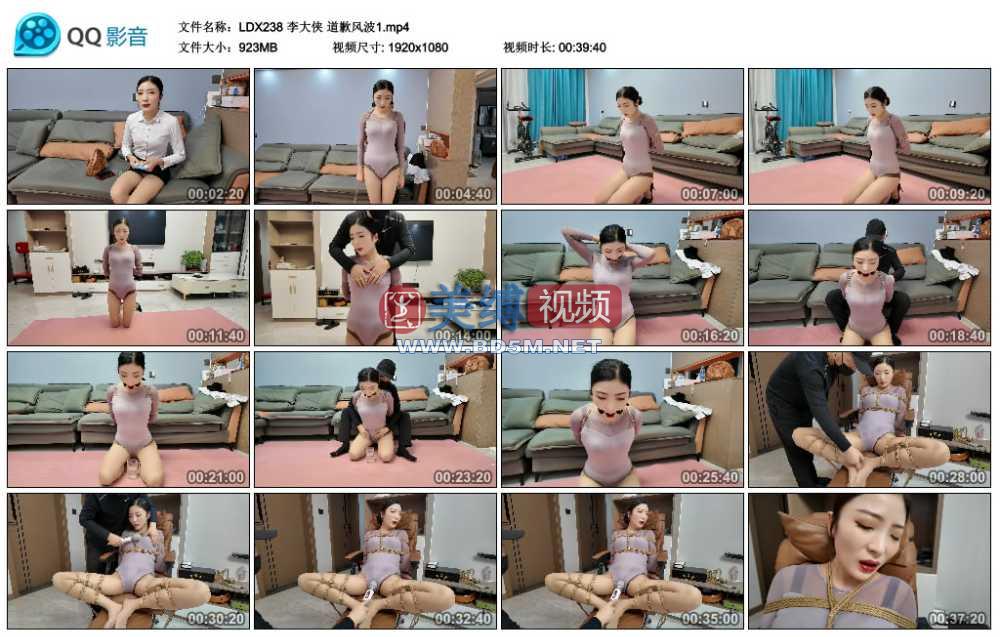 李大侠 道歉风波1