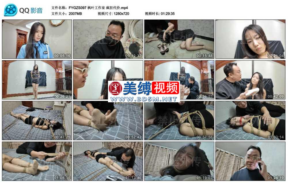 枫叶工作室 疯狂代价