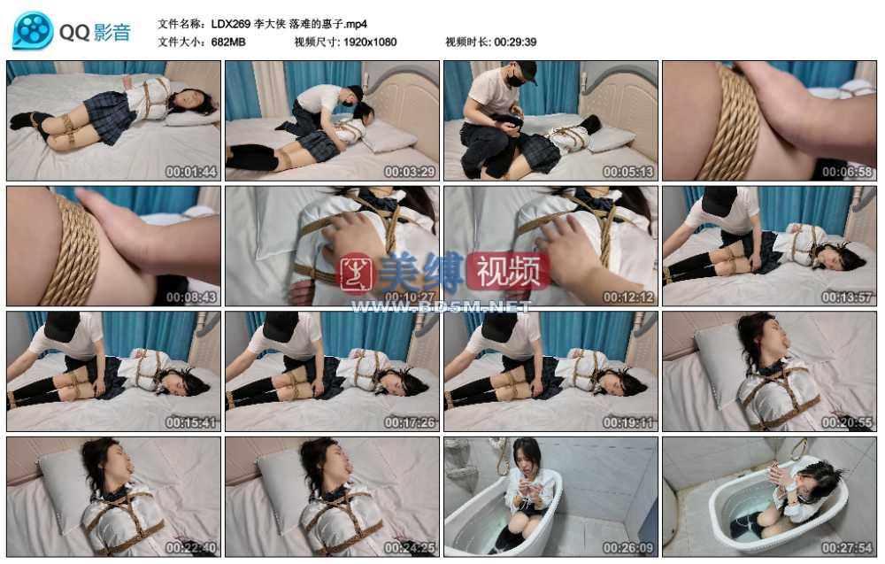 李大侠 落难的惠子