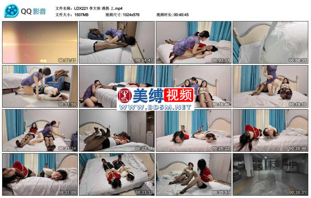 李大侠 诱拐 上