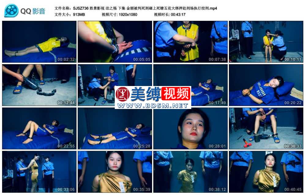 胜景影视 法之殇 下集 金丽被判死刑砸上死镣五花大绑押赴刑场执行绞刑