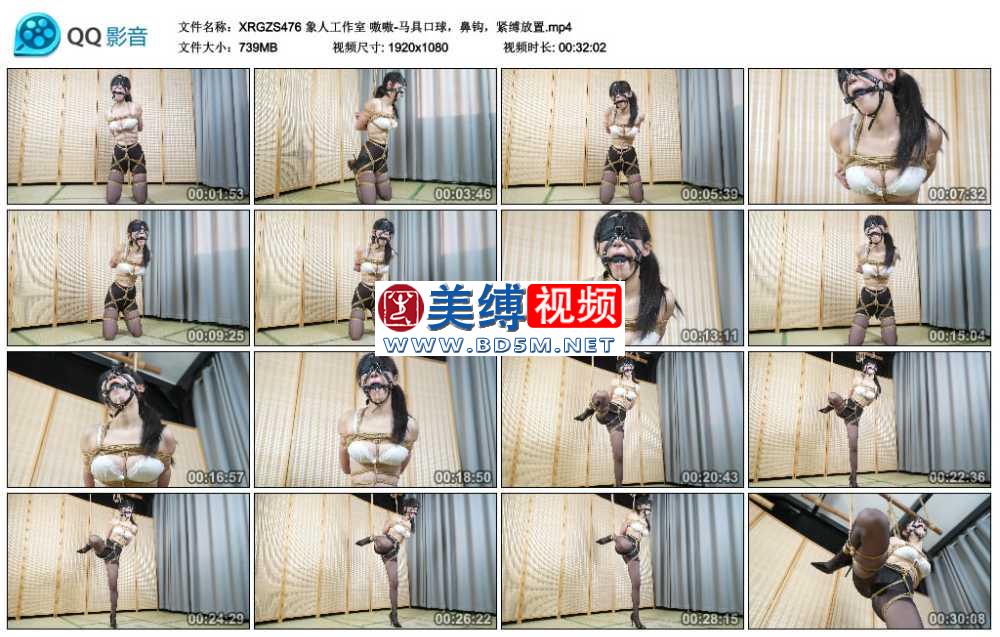 象人工作室 嗷嗷-马具口球，鼻钩，紧缚放置
