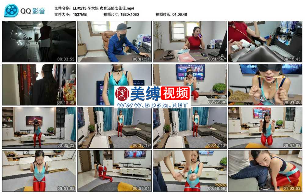 李大侠 卖身还债之佳佳