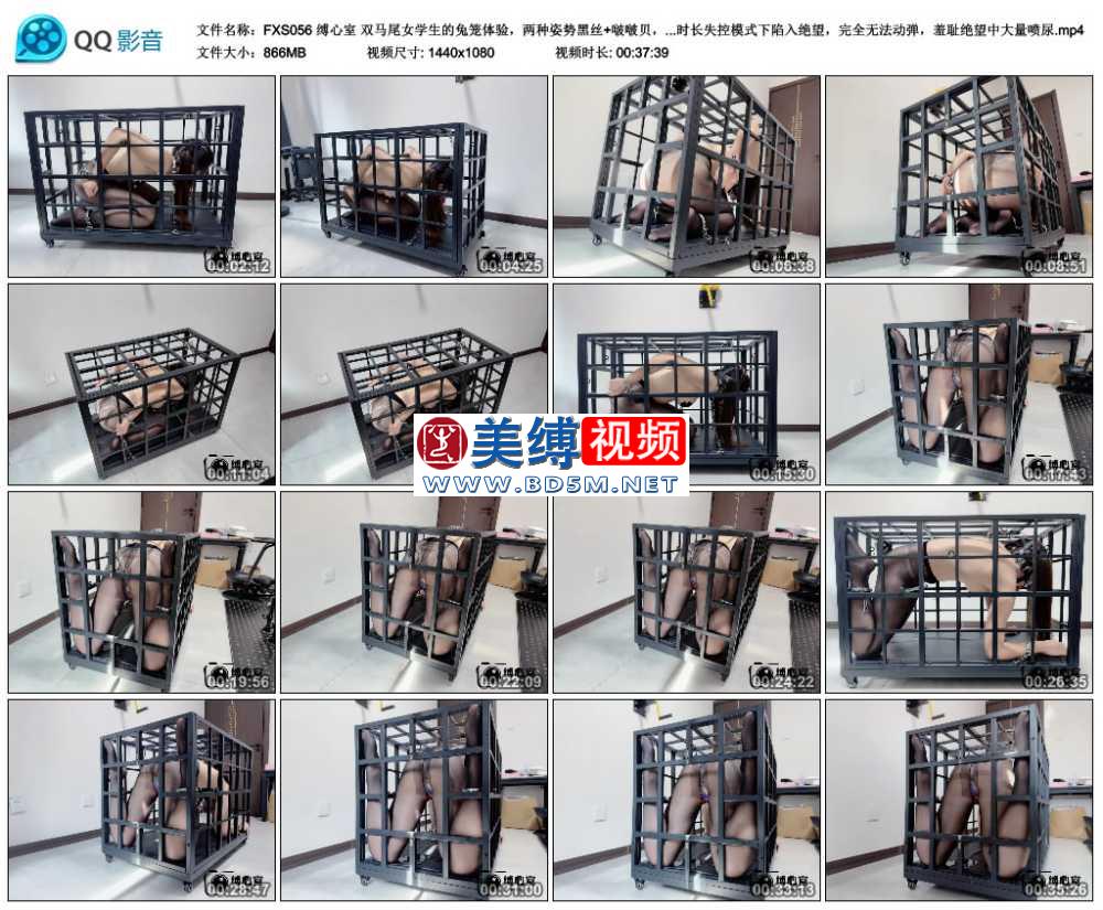 缚心室 双马尾女学生的兔笼体验，两种姿势黑丝+啵啵贝，秒C神器，超长时长失控模式...