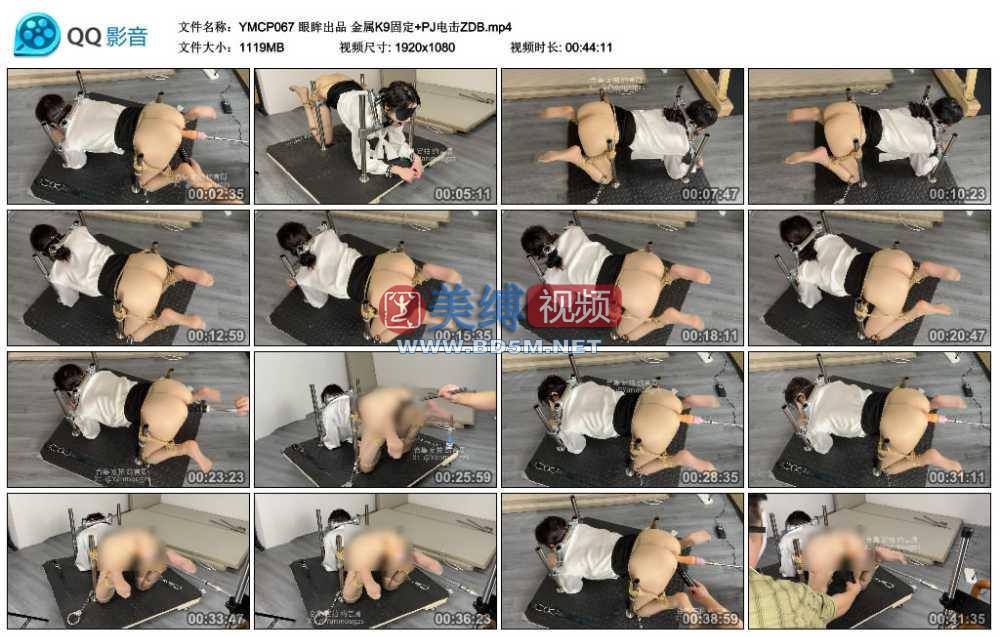 眼眸出品 金属K9固定+PJ电击ZDB