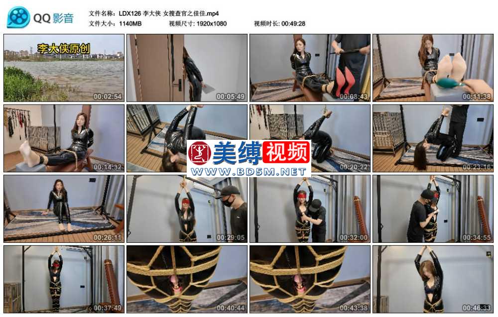 李大侠 女搜查官之佳佳