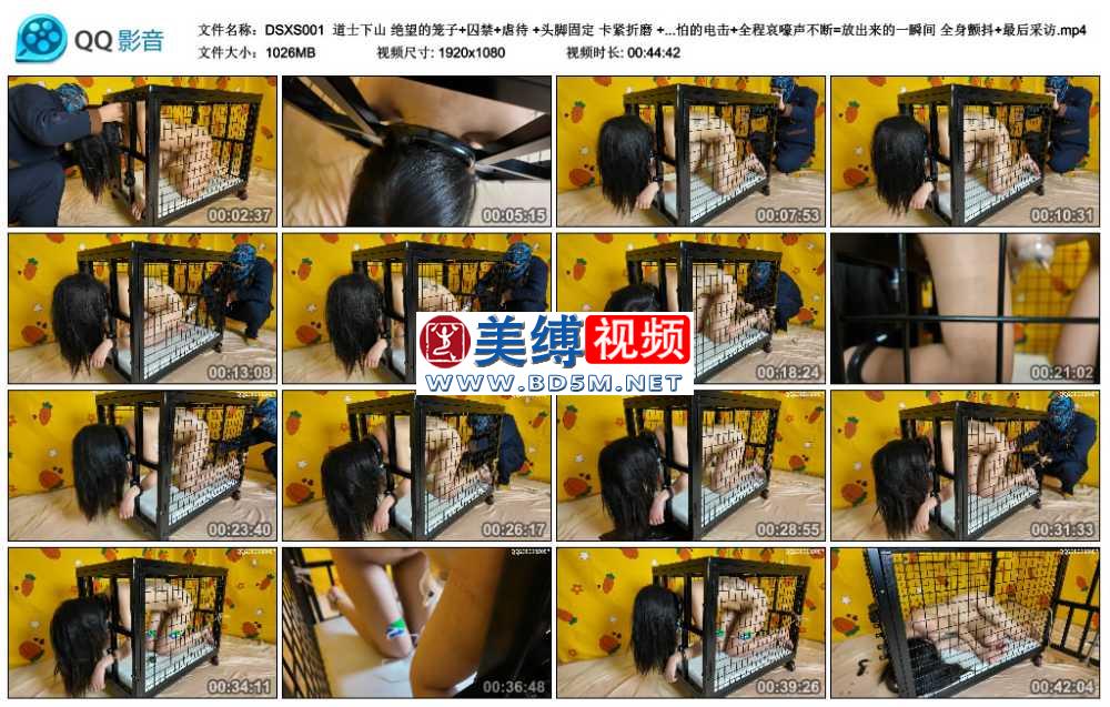 道士下山 绝望的笼子+囚禁+虐待 +头脚固定 卡紧折磨 +皮鞭+tk+双腿夹头+双脚固定+...