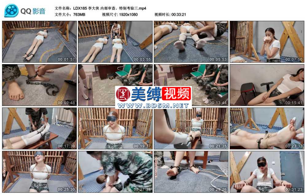 李大侠 内部审查、特别考验三