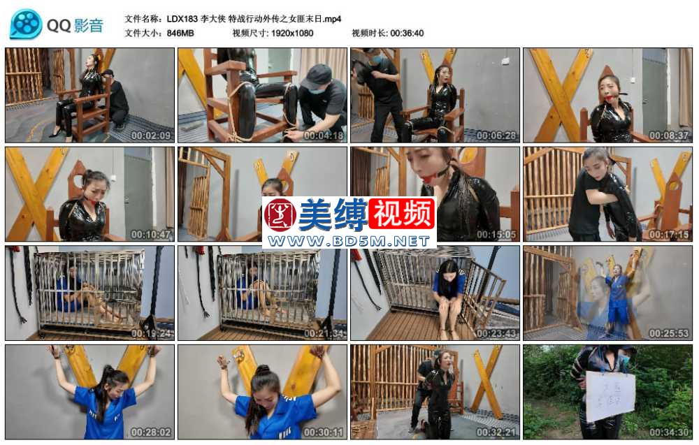 李大侠 特战行动外传之女匪末日