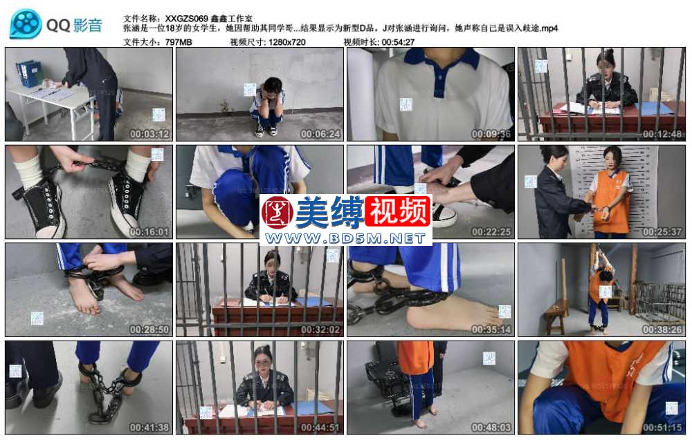 鑫鑫工作室 张涵是一位18岁的女学生，她因帮助其同学哥哥王强运送D品而被J抓获。张...