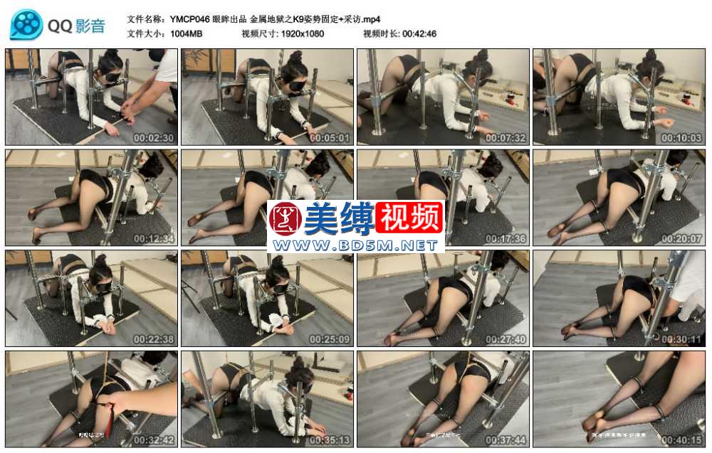 眼眸出品 金属地狱之K9姿势固定+采访