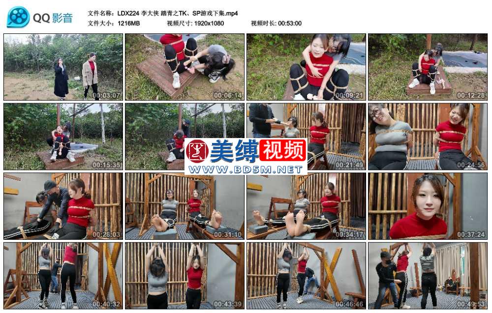 李大侠 踏青之TK、SP游戏下集