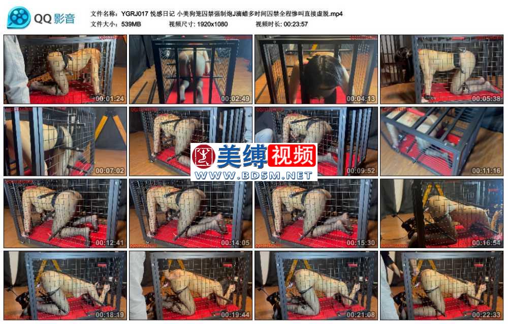 悦感日记 小美狗笼囚禁强制炮J滴蜡多时间囚禁全程惨叫直接虚脱