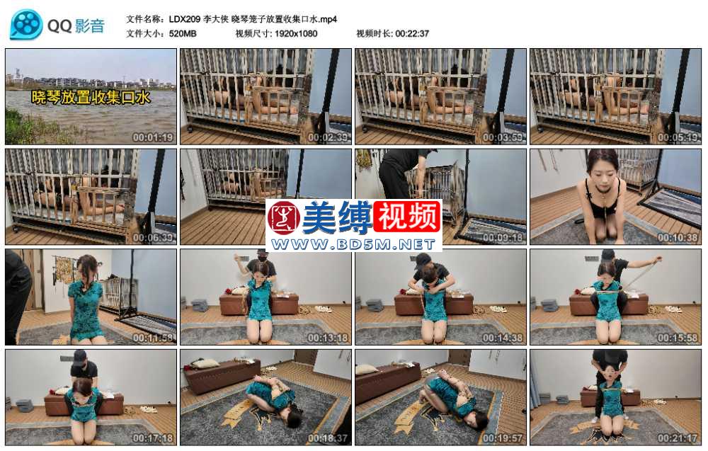 李大侠 晓琴笼子放置收集口水