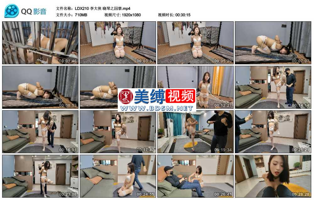 李大侠 晓琴之囚禁