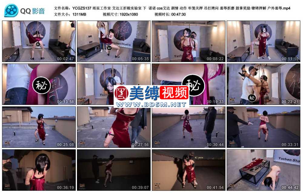 雨辰工作室 艾达王折戟实验室 下  诺诺 cos艾达 剧情 动作 牢笼关押 吊打拷问 羞辱...