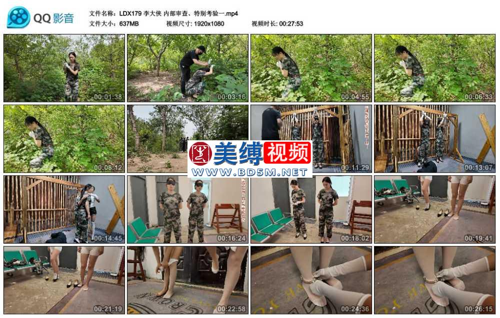 李大侠 内部审查、特别考验一