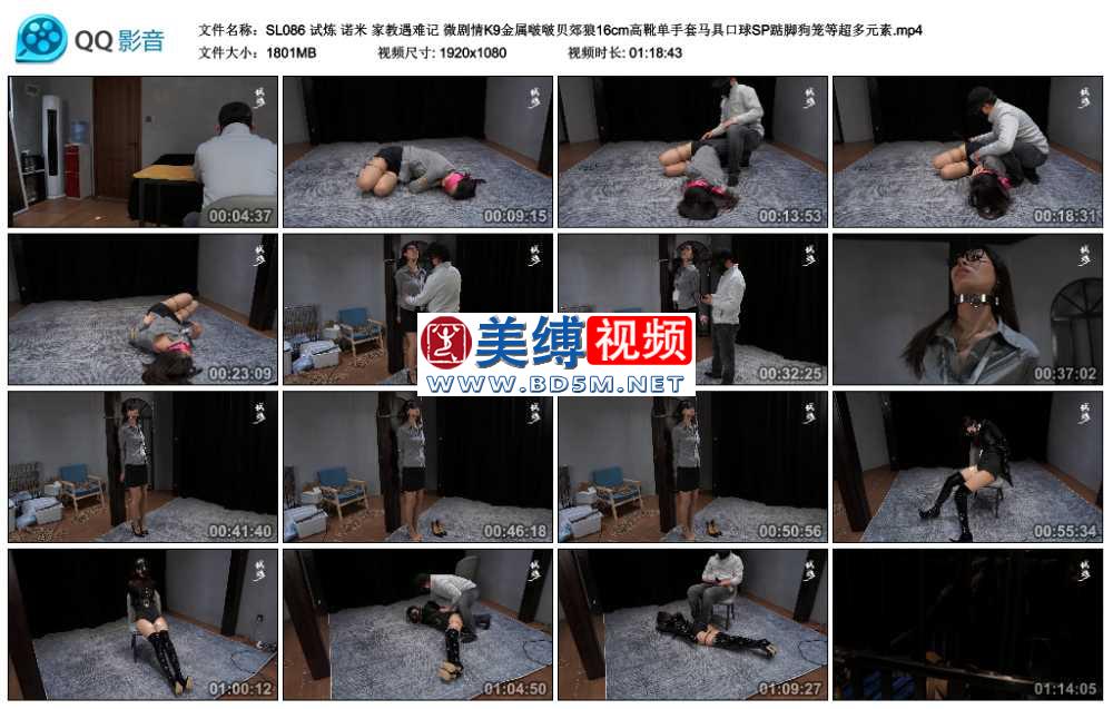 试炼 诺米 家教遇难记 微剧情K9金属啵啵贝郊狼16cm高靴单手套马具口球SP踮脚狗笼等...