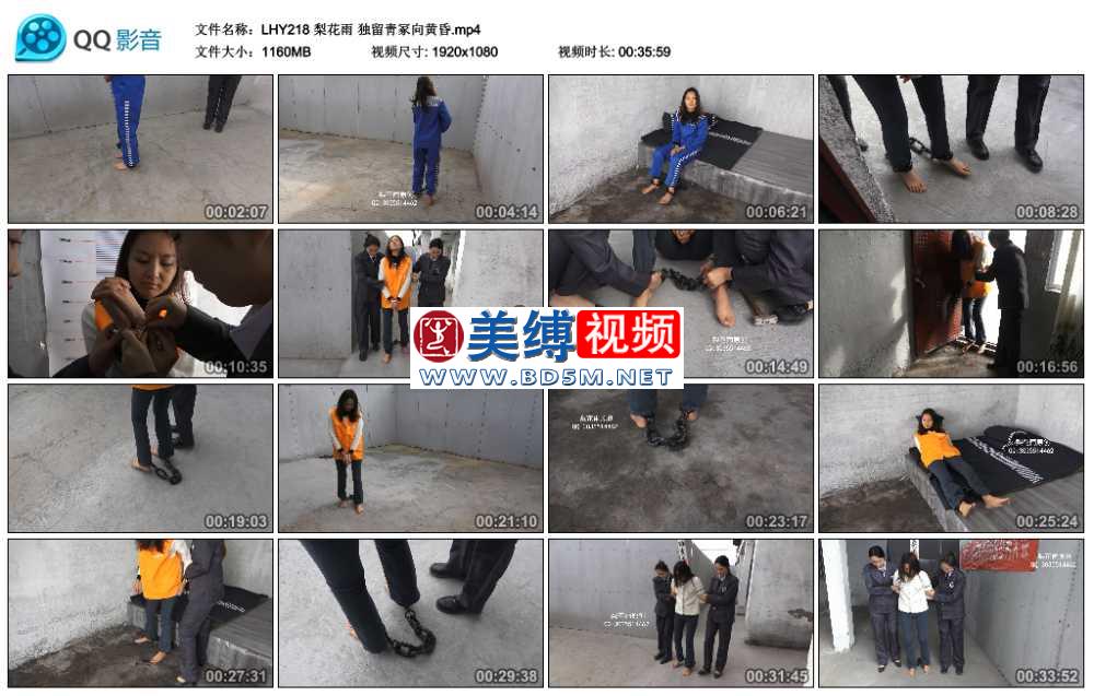 梨花雨 独留靑冢向黄昏