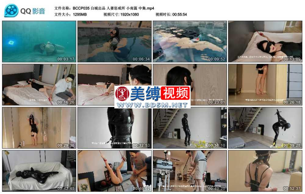 白城出品 人妻惩戒所 小南篇 中集