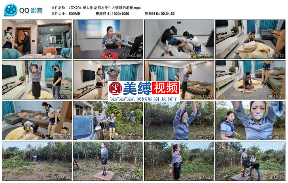 李大侠 老师与学生之愤怒的老爸