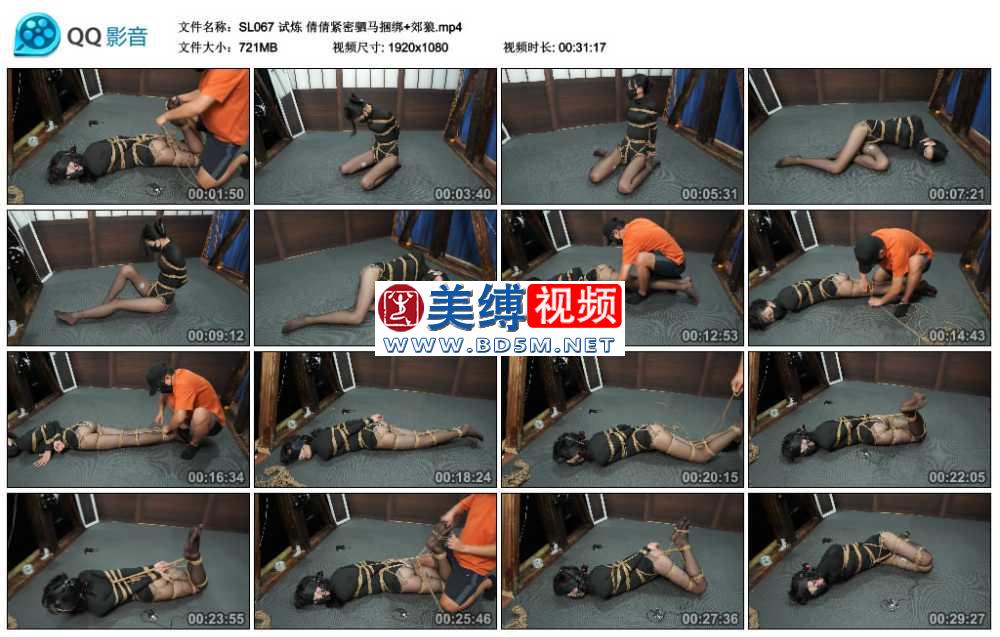 试炼 倩倩紧密驷马捆绑+郊狼