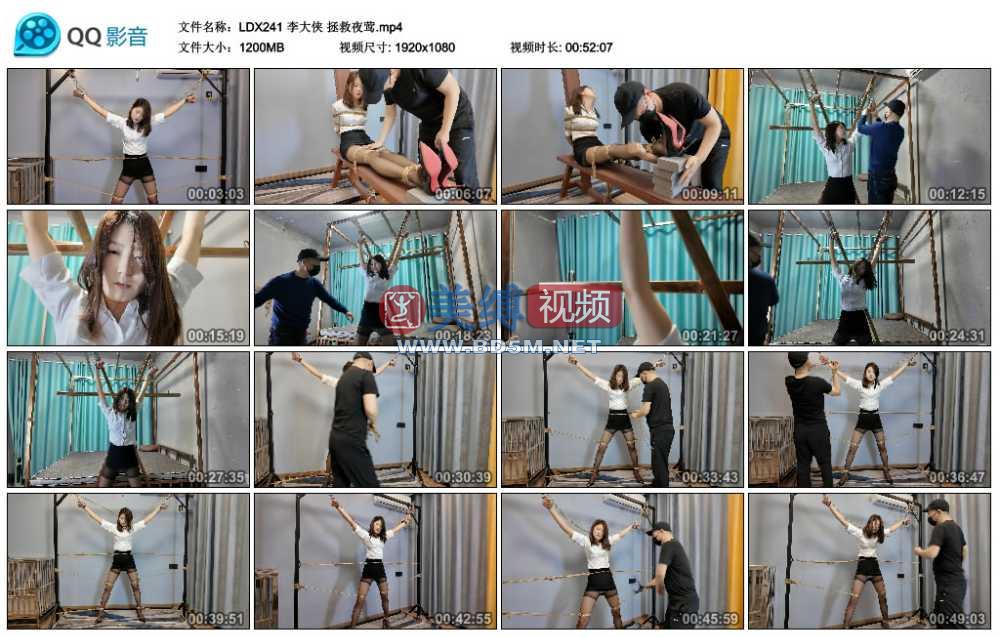 李大侠 拯救夜莺