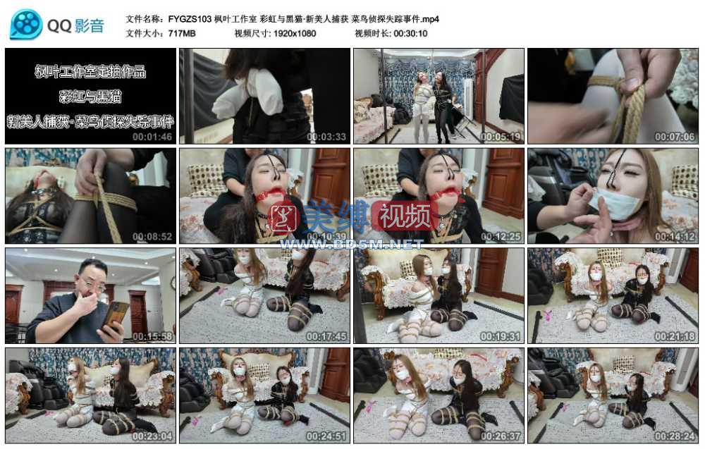 枫叶工作室 彩虹与黑猫·新美人捕获 菜鸟侦探失踪事件