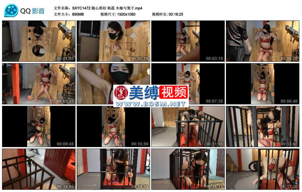 随心原创 杨蕊 木枷与笼子