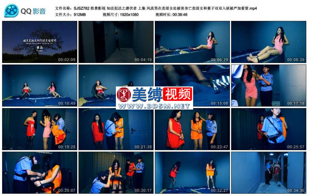 胜景影视 知法犯法之潜伏者 上集 风流男在卖淫女处被害身亡卖淫女和妻子双双入狱被...