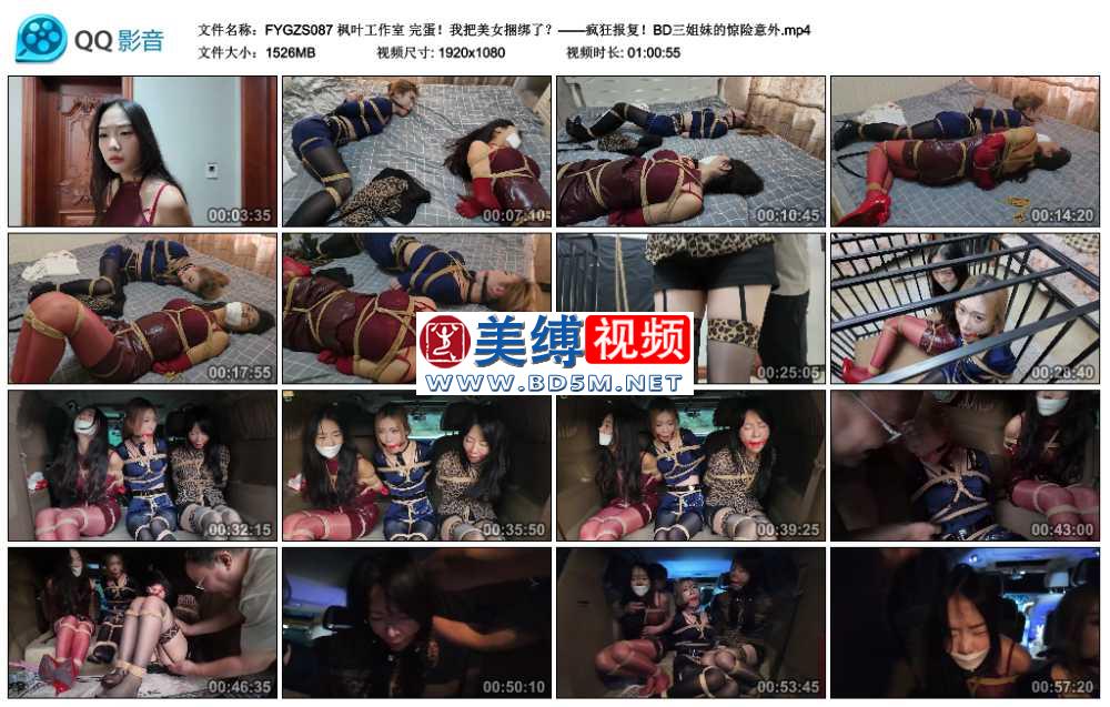 枫叶工作室 完蛋！我把美女捆绑了？——疯狂报复！BD三姐妹的惊险意外