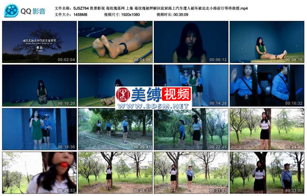 胜景影视 毒玫瑰落网 上集 毒玫瑰被押解回监狱路上汽车遭人破坏被迫走小路前行等待...