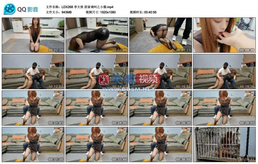 李大侠 居家调叫之小猫