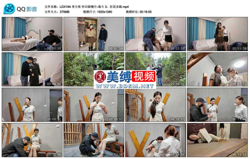 李大侠 怀旧剧情片-毒斗 3：狂花末路