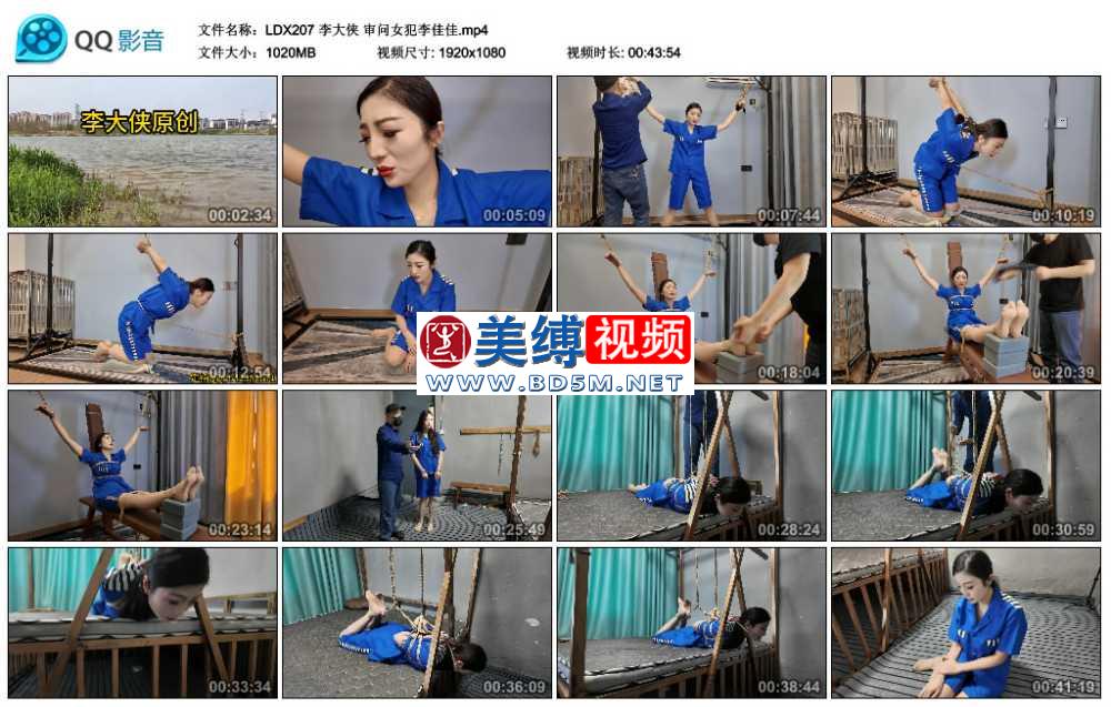 李大侠 审问女犯李佳佳