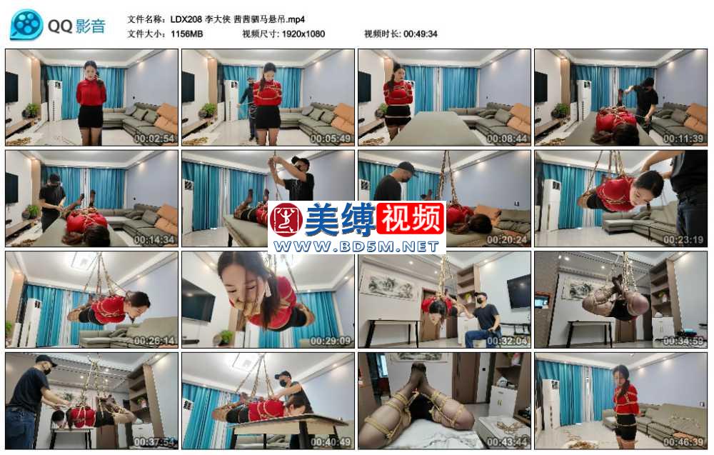 李大侠 茜茜驷马悬吊