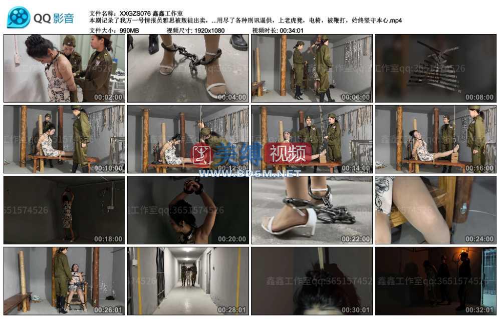 鑫鑫工作室 本剧记录了我方一号情报员雅思被叛徒出卖，在销毁文件时被军统特务抓捕...