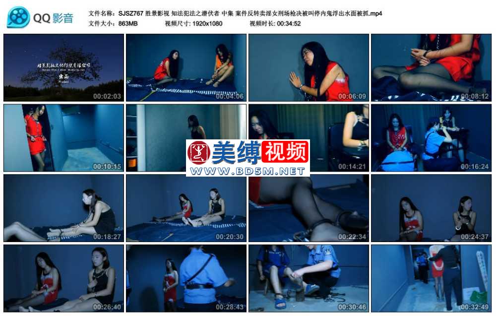 胜景影视 知法犯法之潜伏者 中集 案件反转卖淫女刑场枪决被叫停内鬼浮出水面被抓