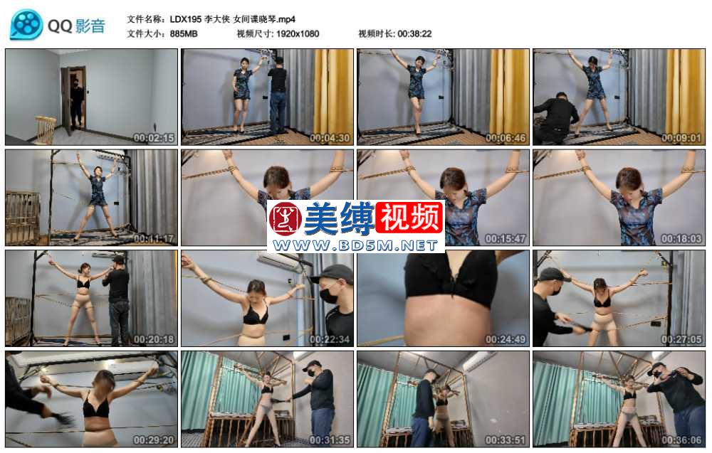 李大侠 女间谍晓琴