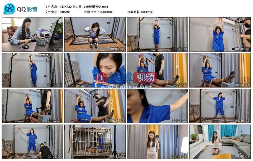 李大侠 女老板覆灭记