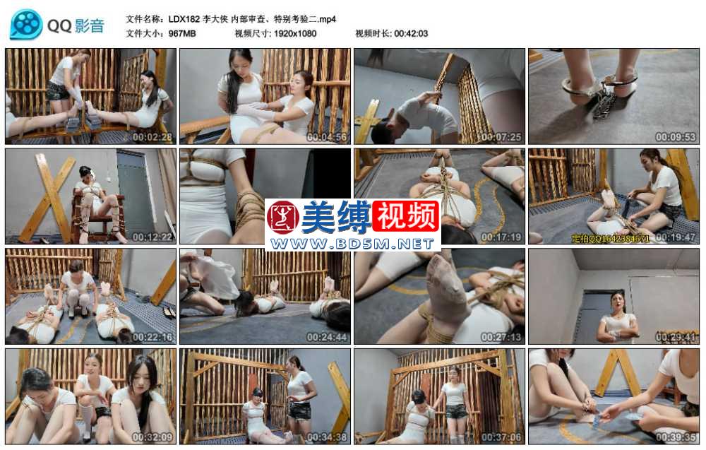 李大侠 内部审查、特别考验二